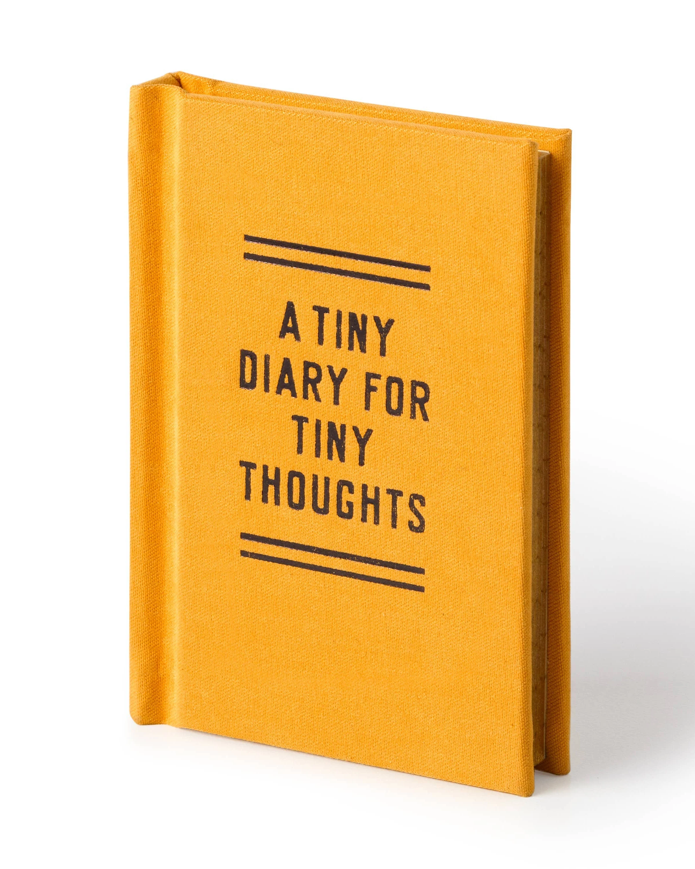 A Tiny Diary for Tiny Thoughts