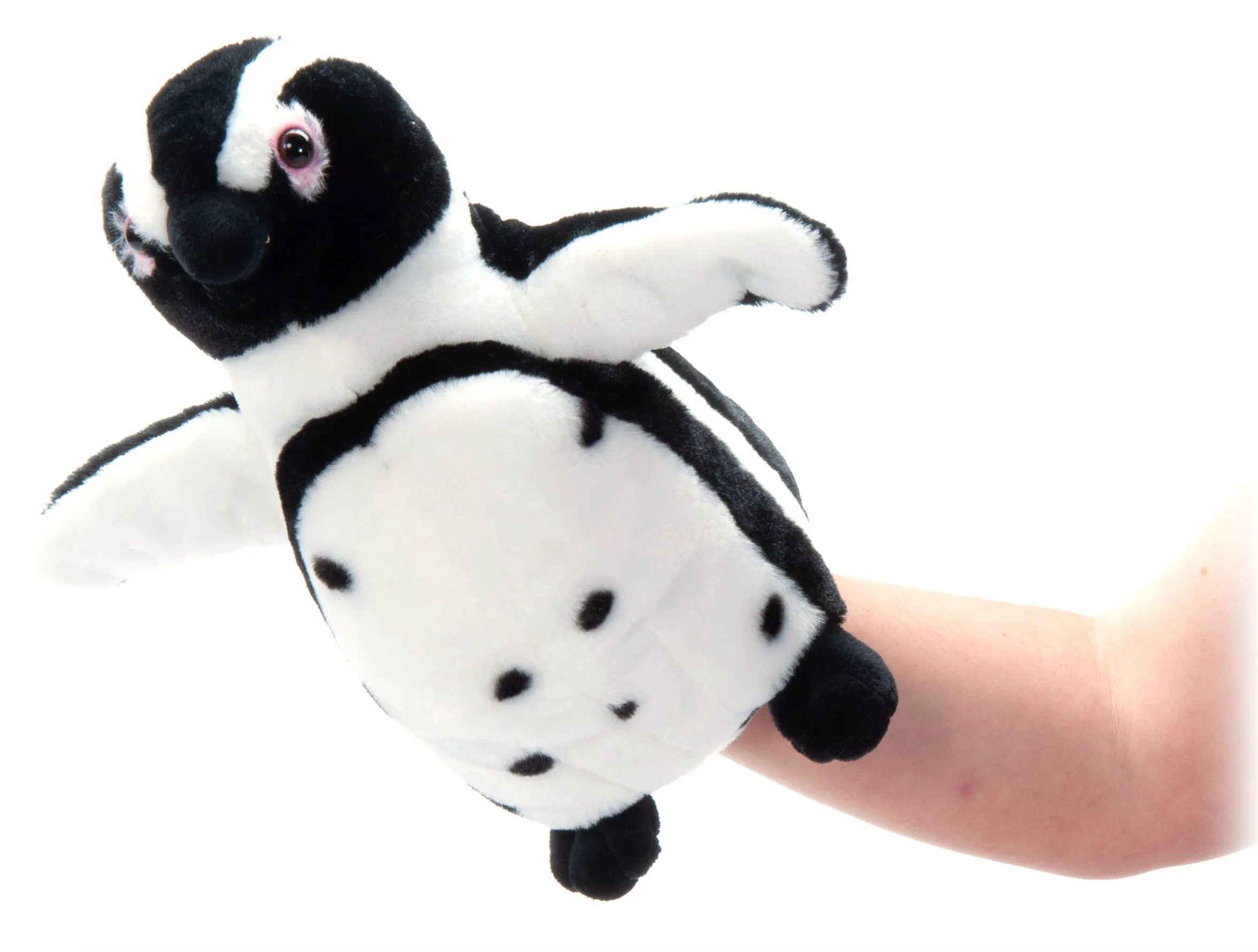 Black-Footed Penguin Puppet