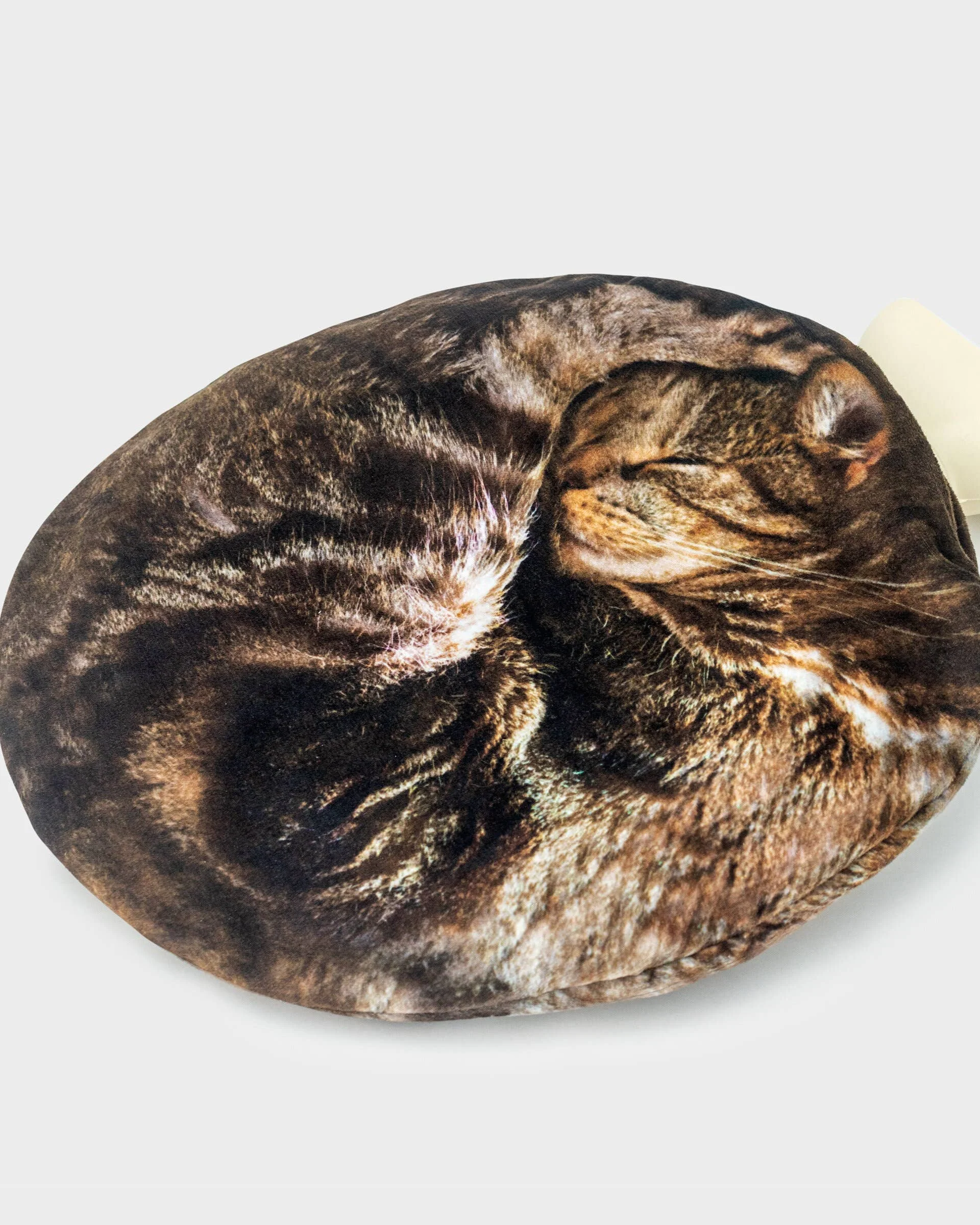 Cat Hot Water Bottle - Image 3