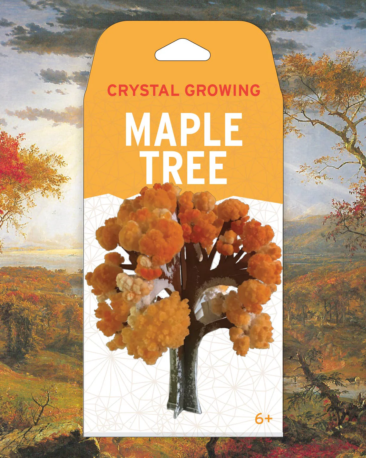Crystal Growing Maple Tree Kit
