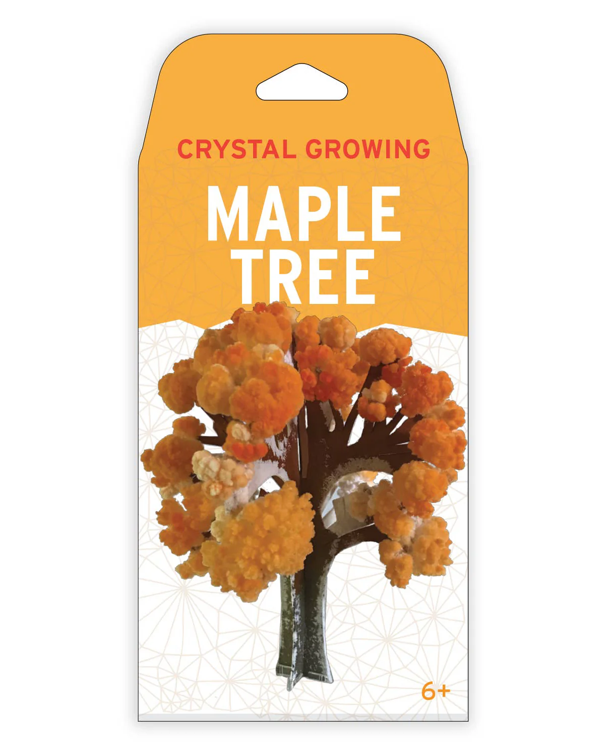 Crystal Growing Maple Tree Kit - Image 2
