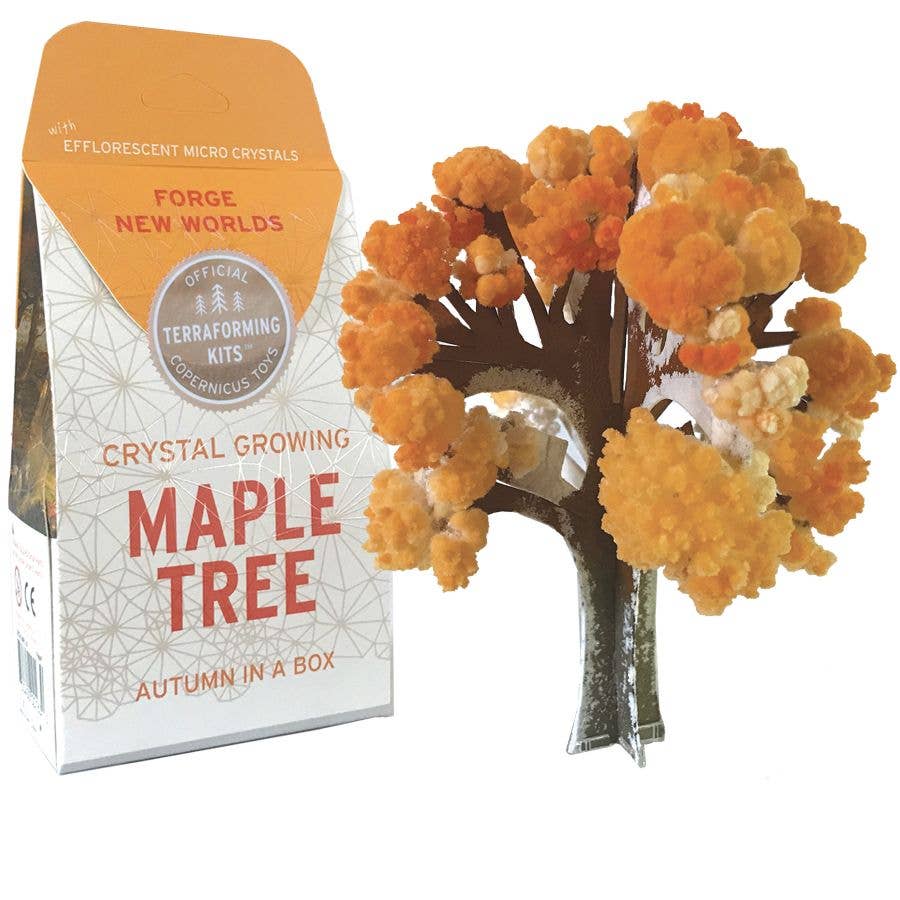 Crystal Growing Maple Tree Kit - Image 4
