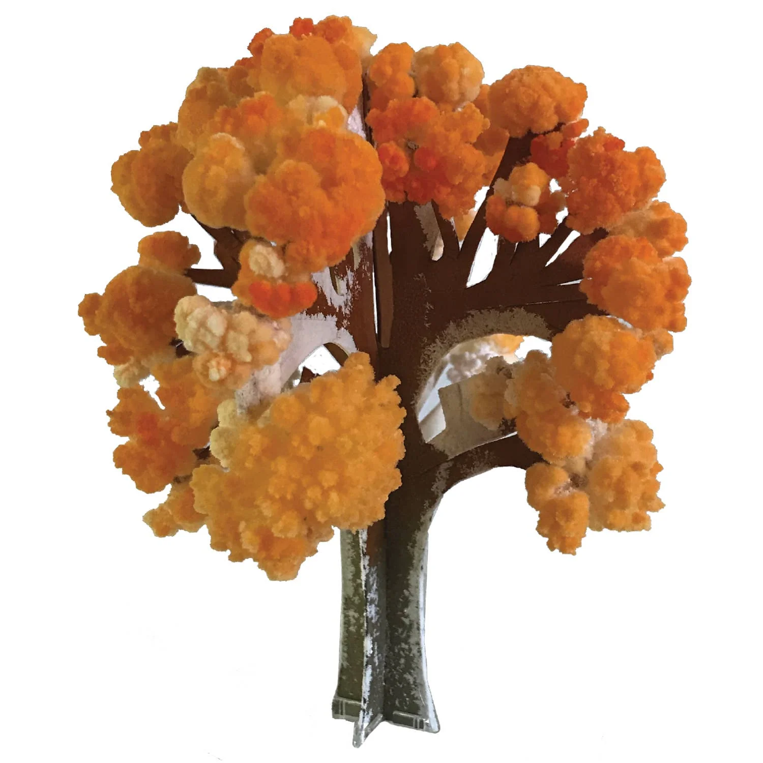 Crystal Growing Maple Tree Kit - Image 5