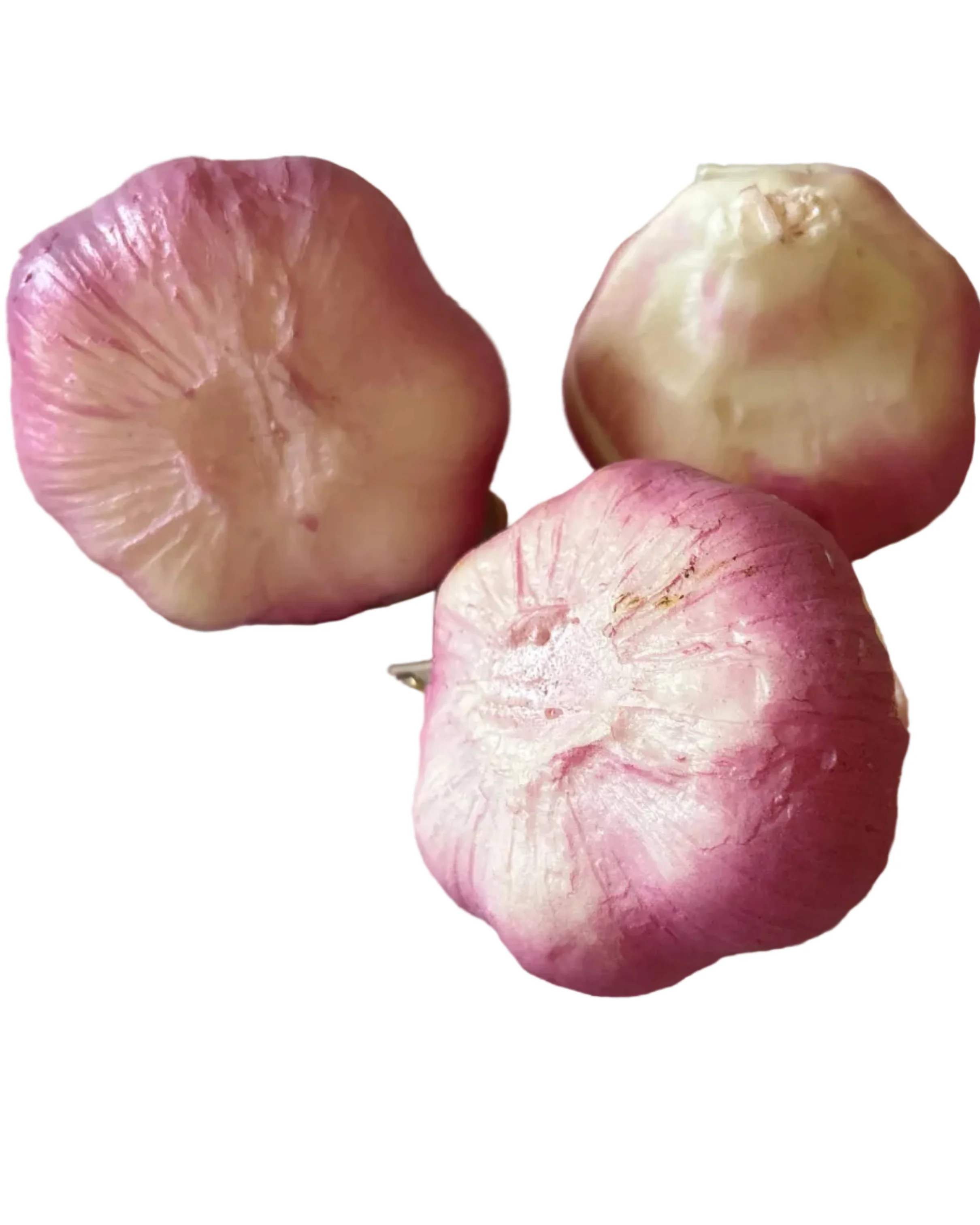 Garlic Coin Purse - Image 2
