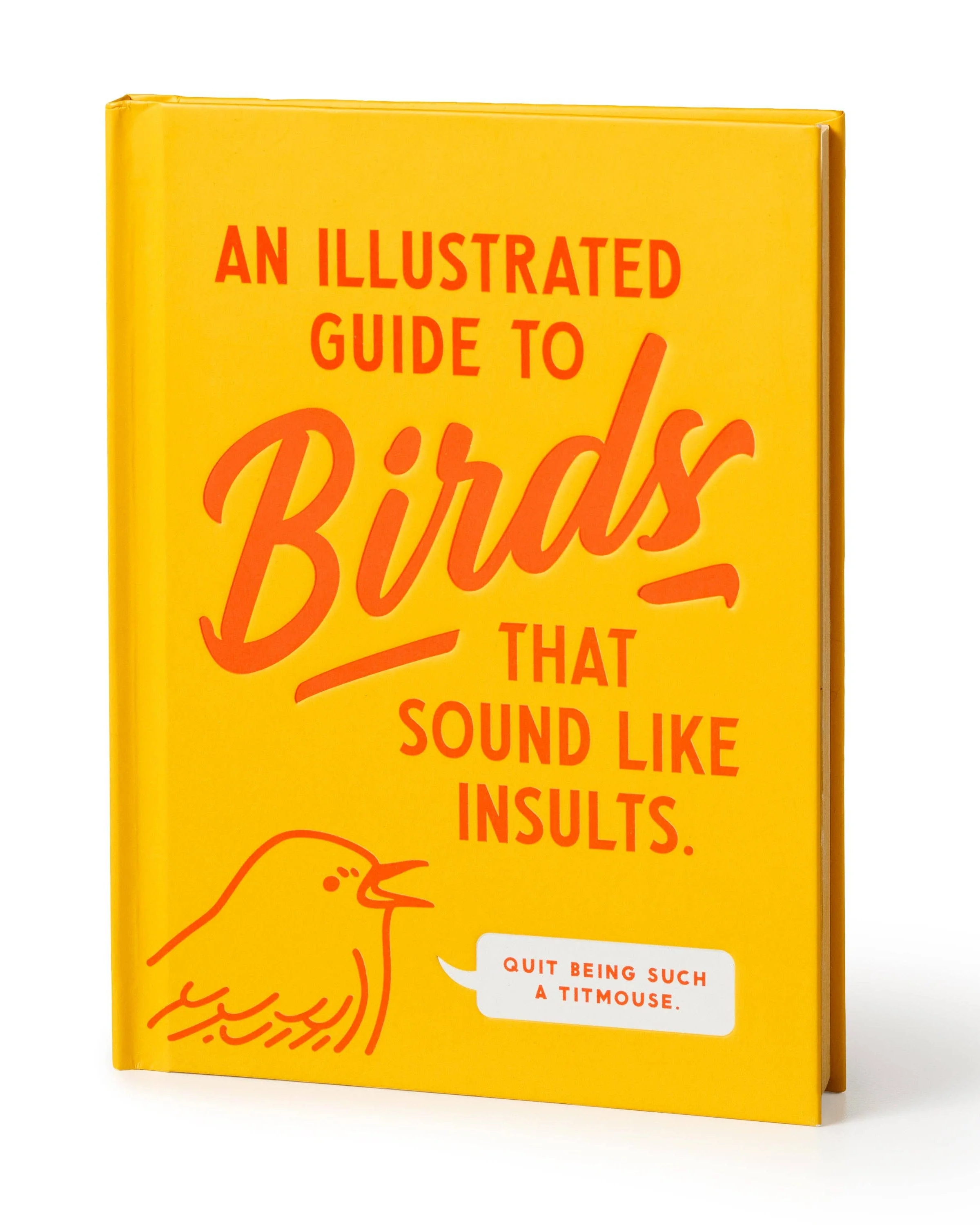 Illustrated Guide to Birds