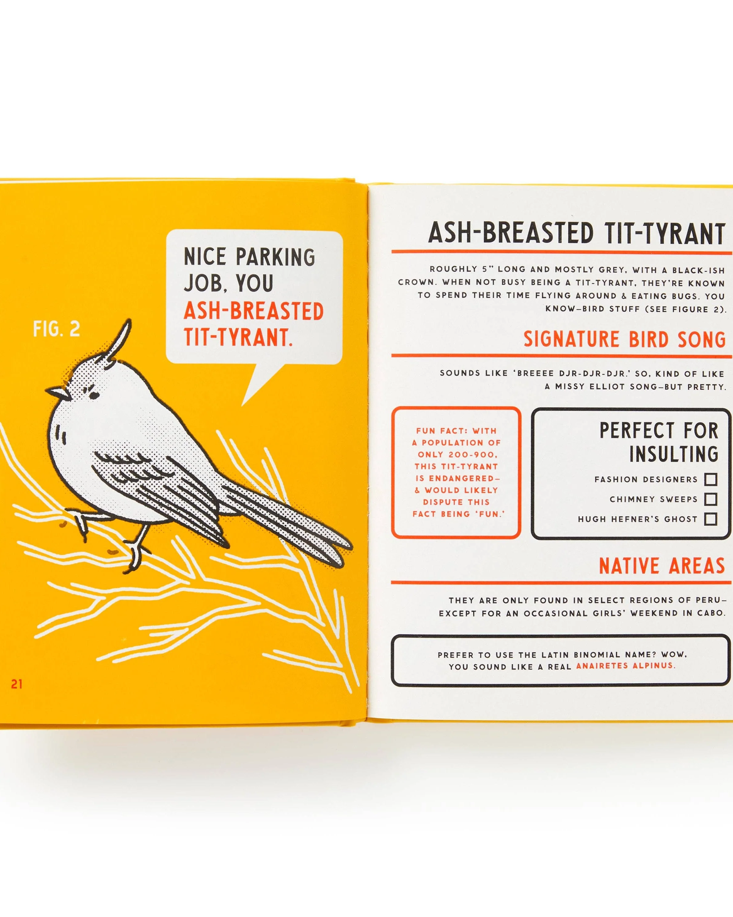 Illustrated Guide to Birds - Image 3