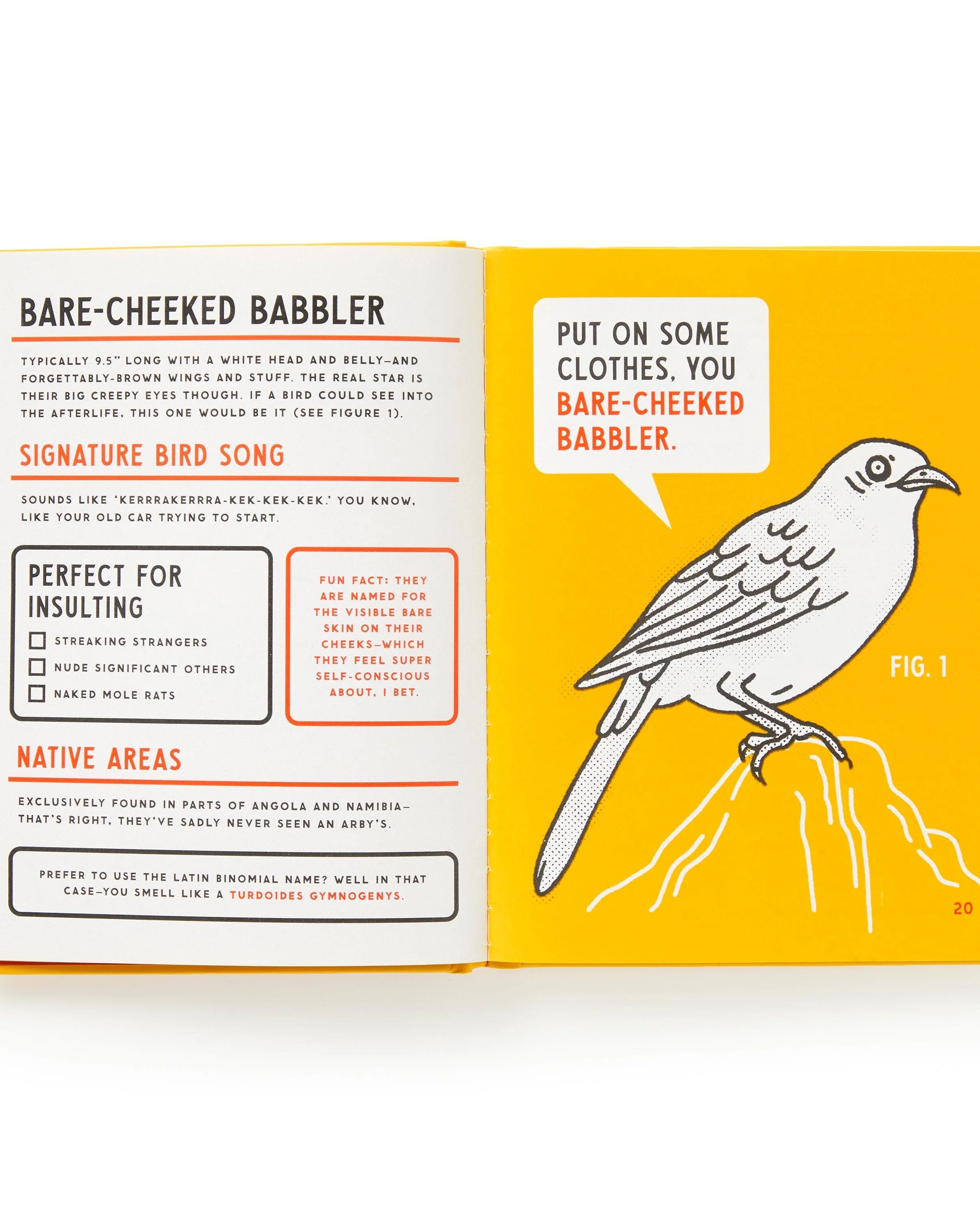 Illustrated Guide to Birds - Image 4