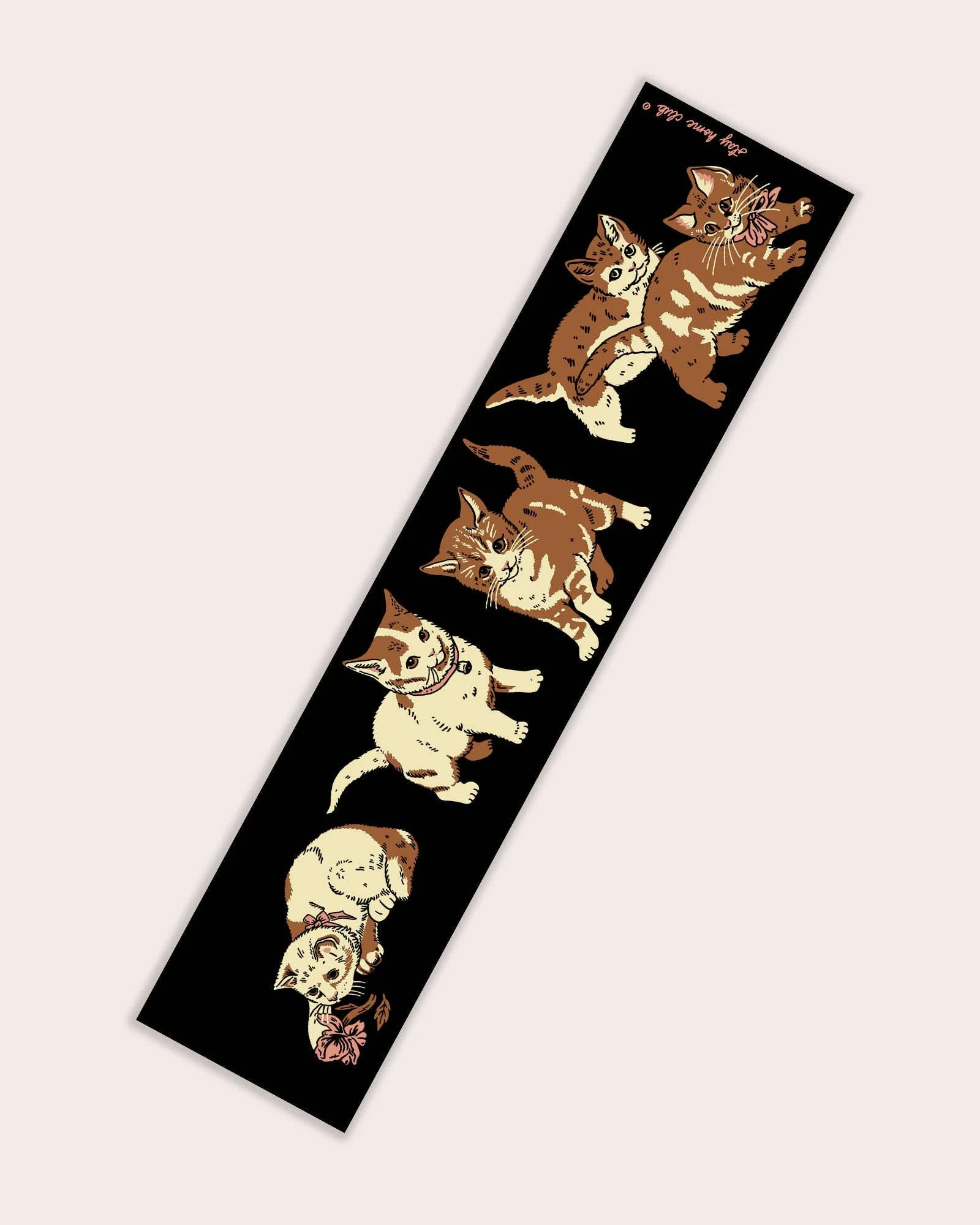 Kittens Bumper Sticker