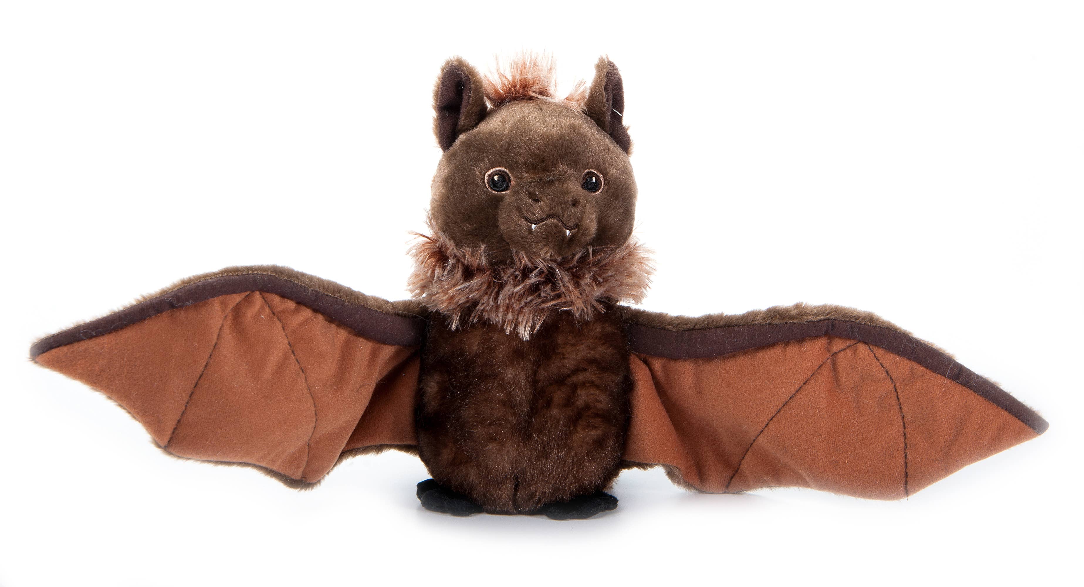 Little Bat