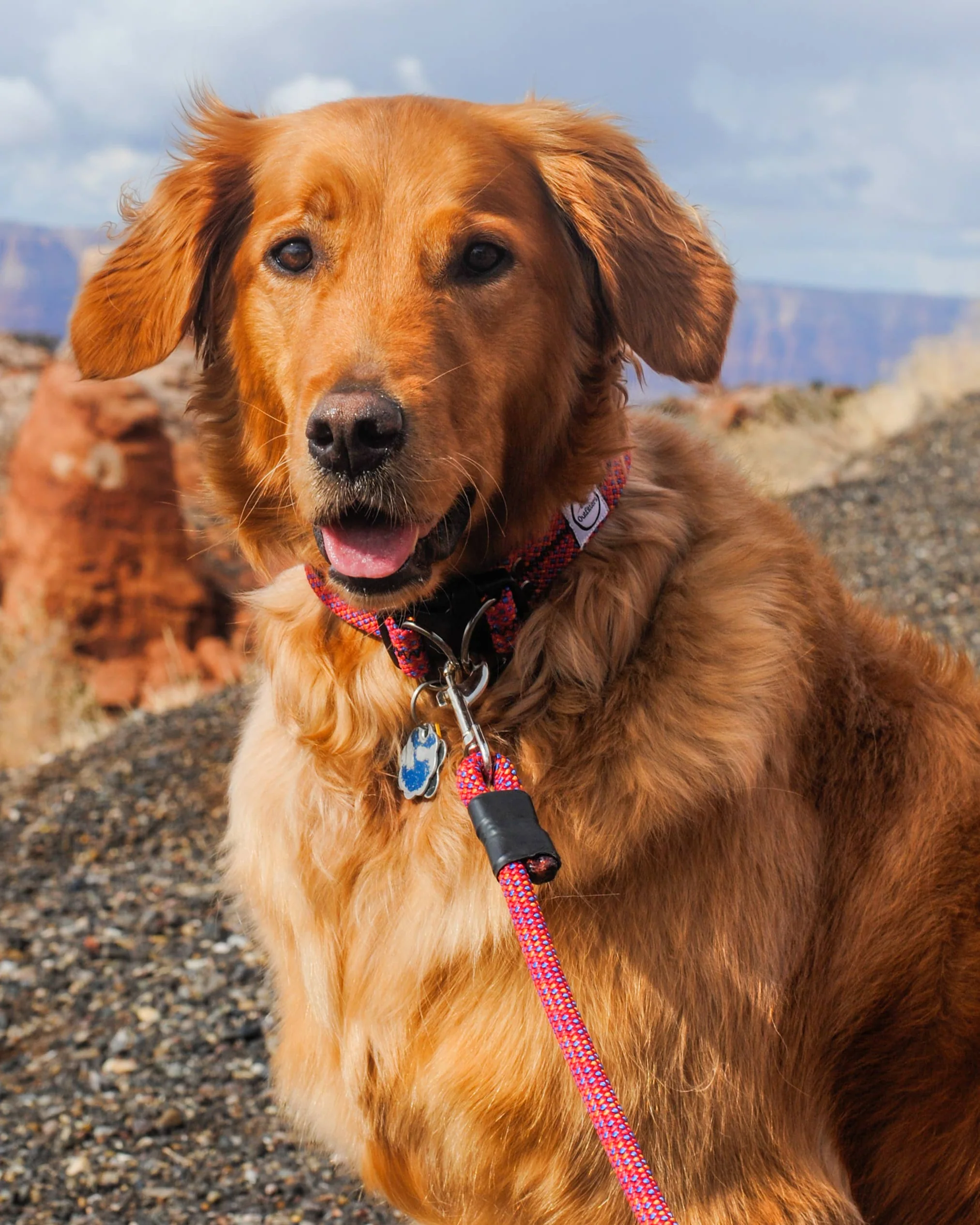 Retired Climbing Rope Dog Collar