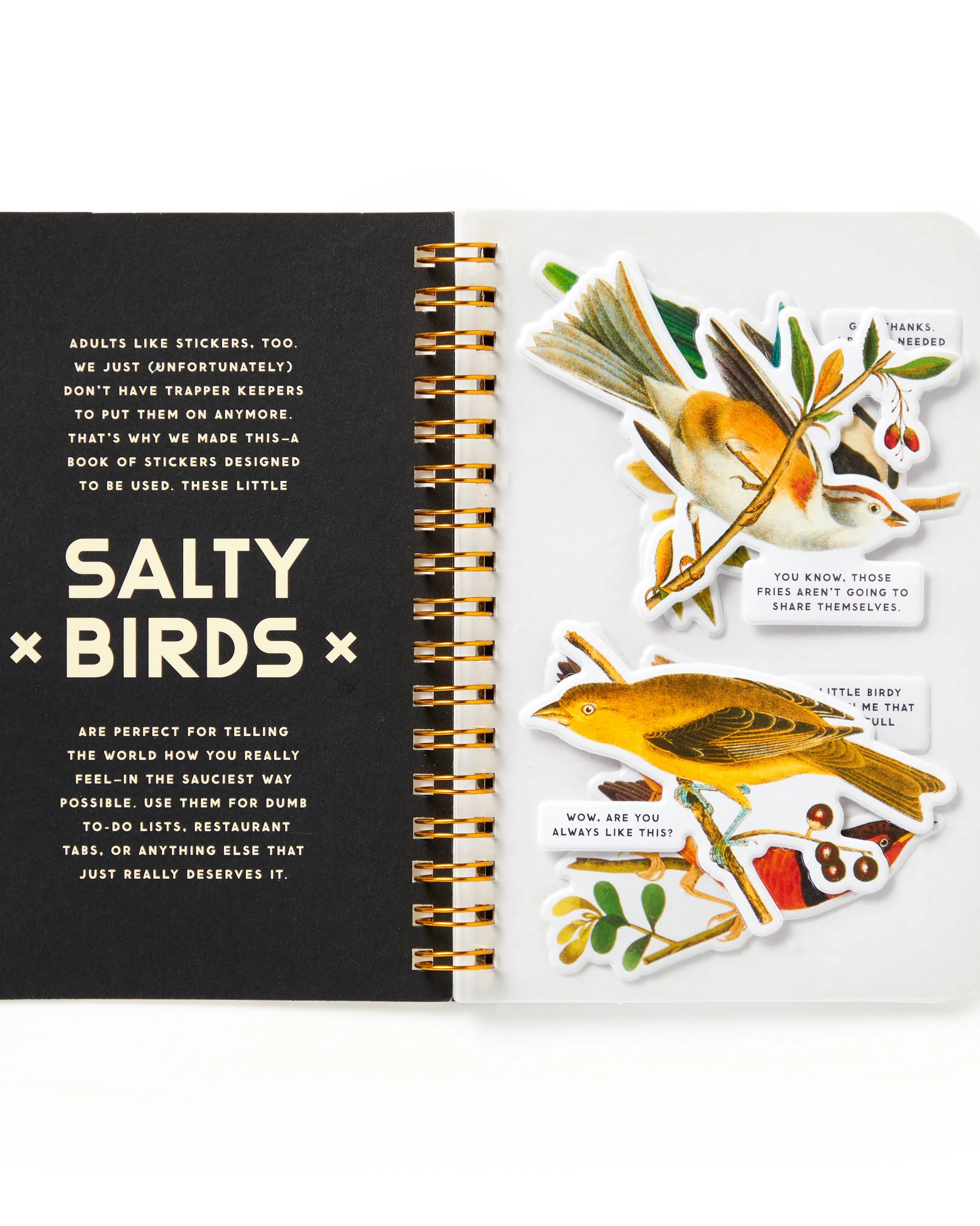 Salty Birds Sticker Book - Image 2