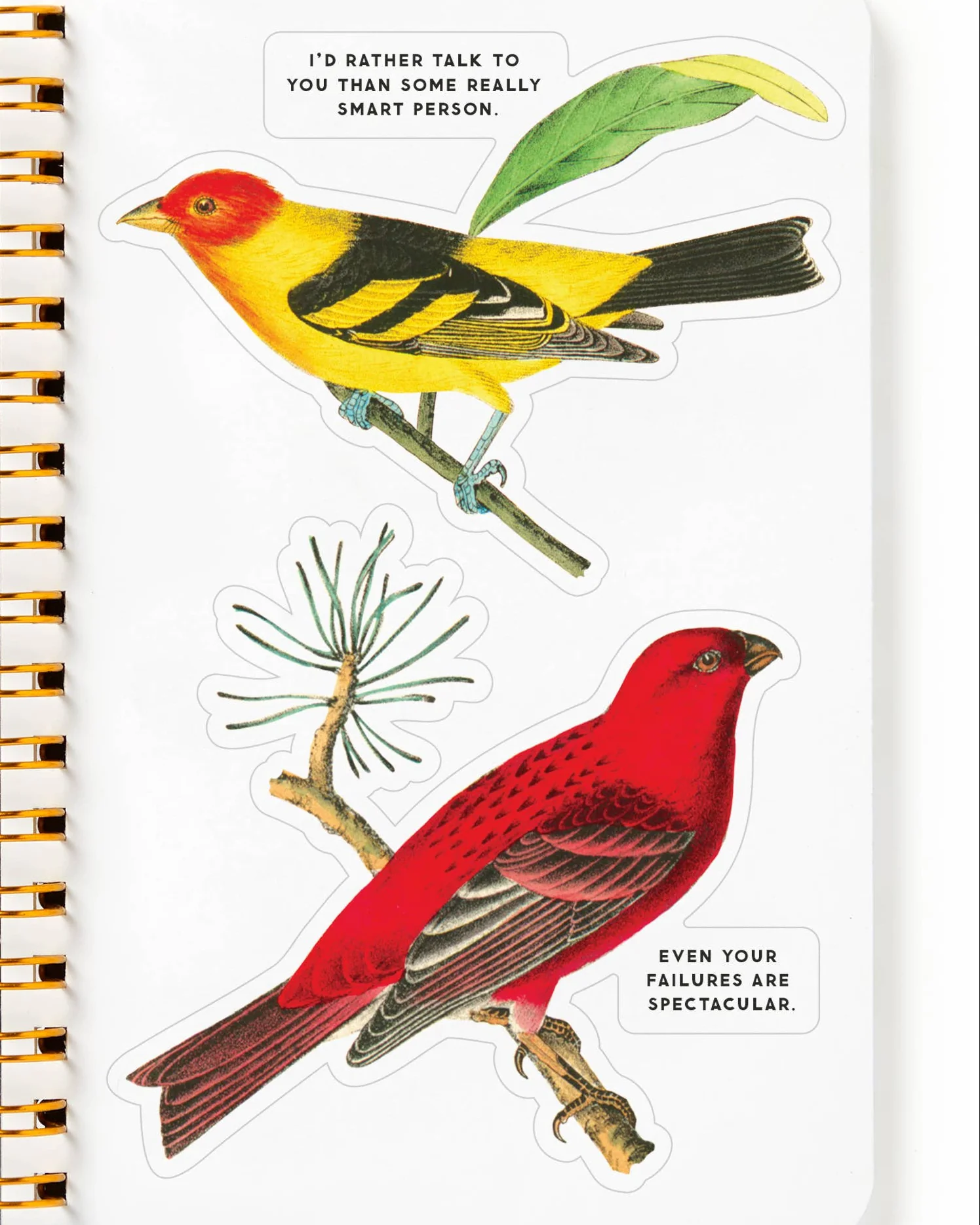 Salty Birds Sticker Book - Image 4
