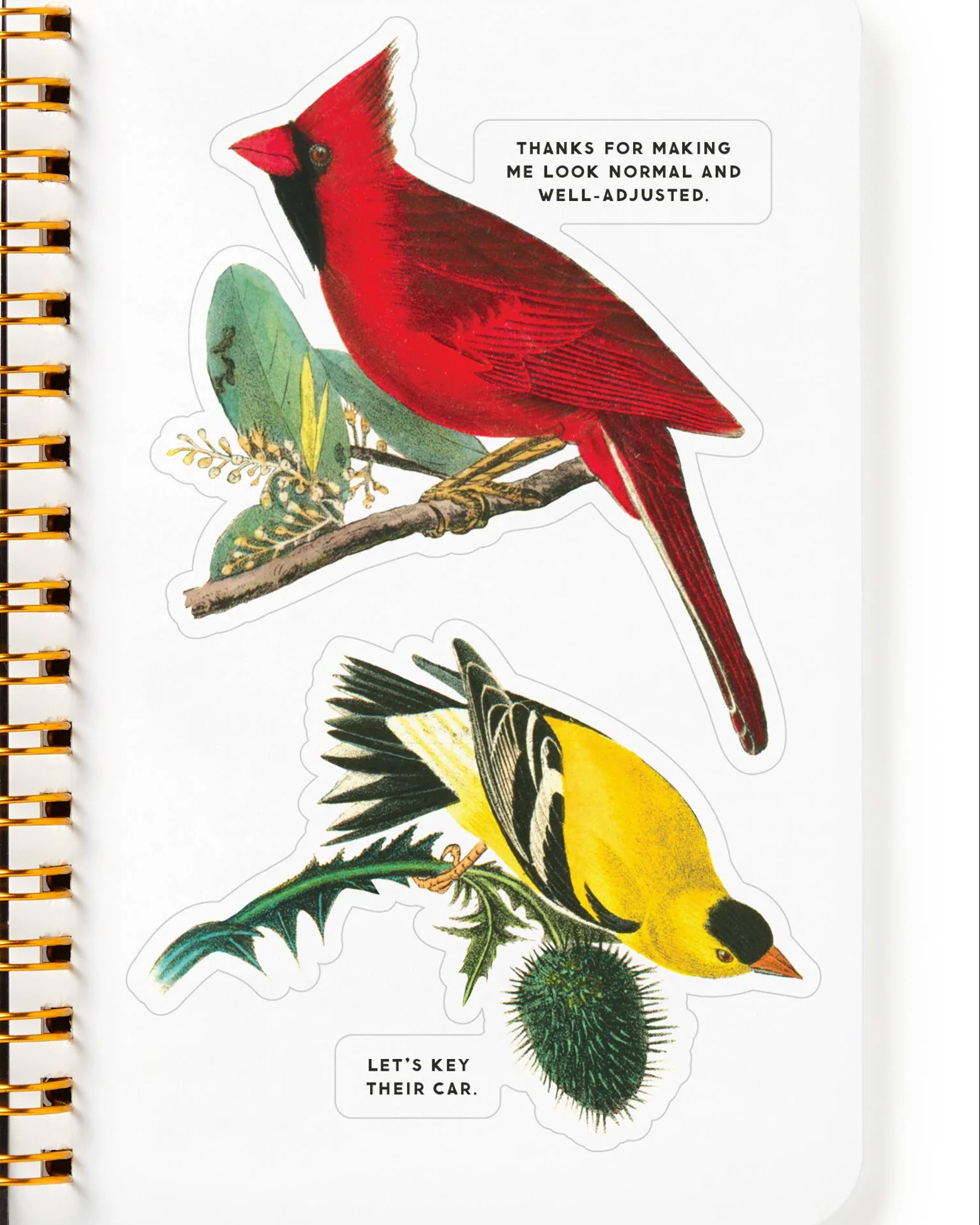 Salty Birds Sticker Book - Image 5