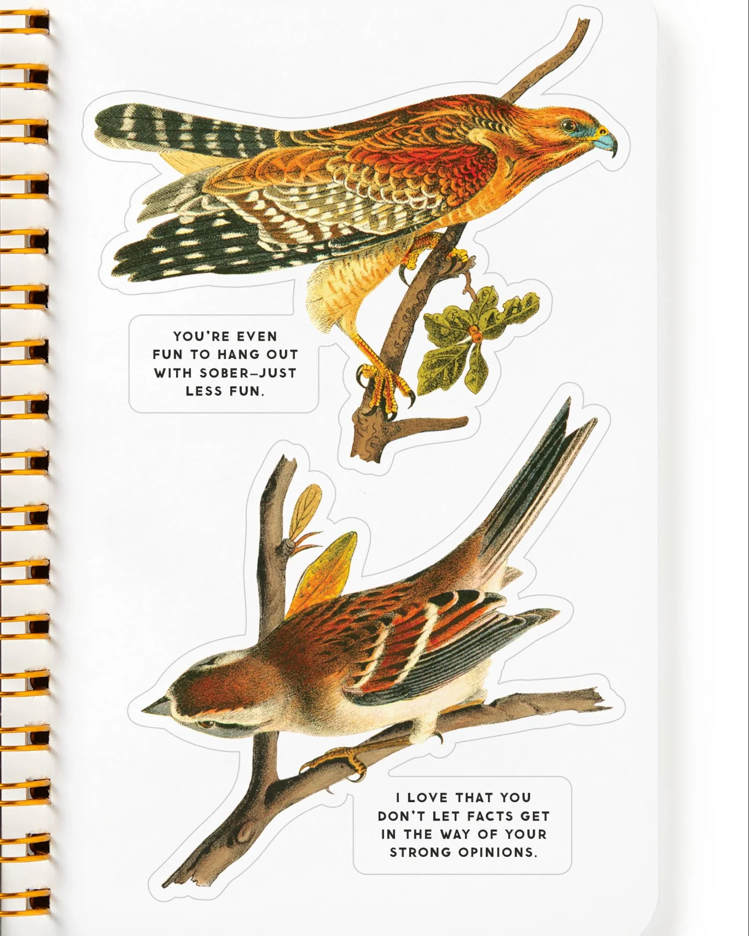 Salty Birds Sticker Book - Image 6