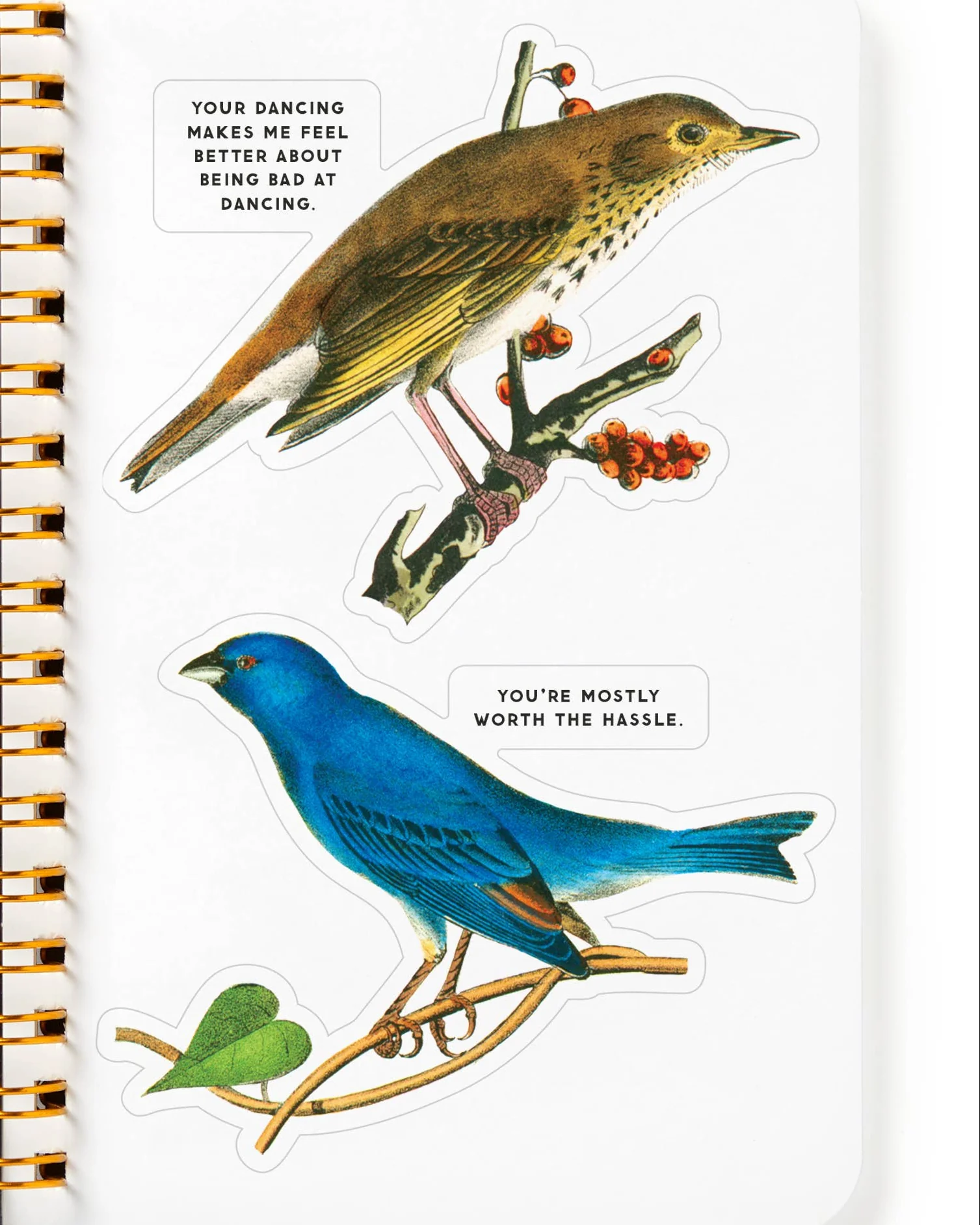Salty Birds Sticker Book - Image 7