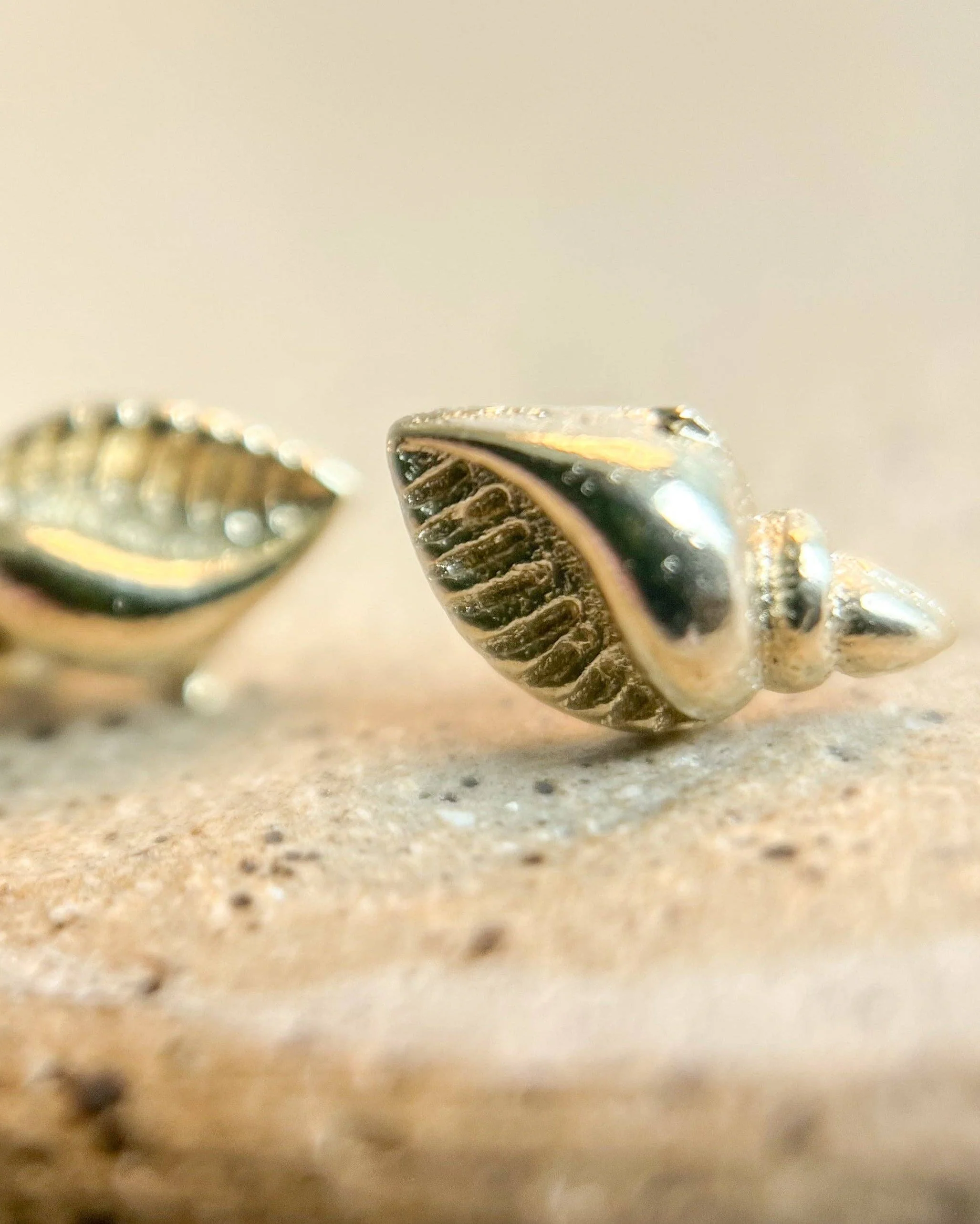 Seashell Studs - Image 4