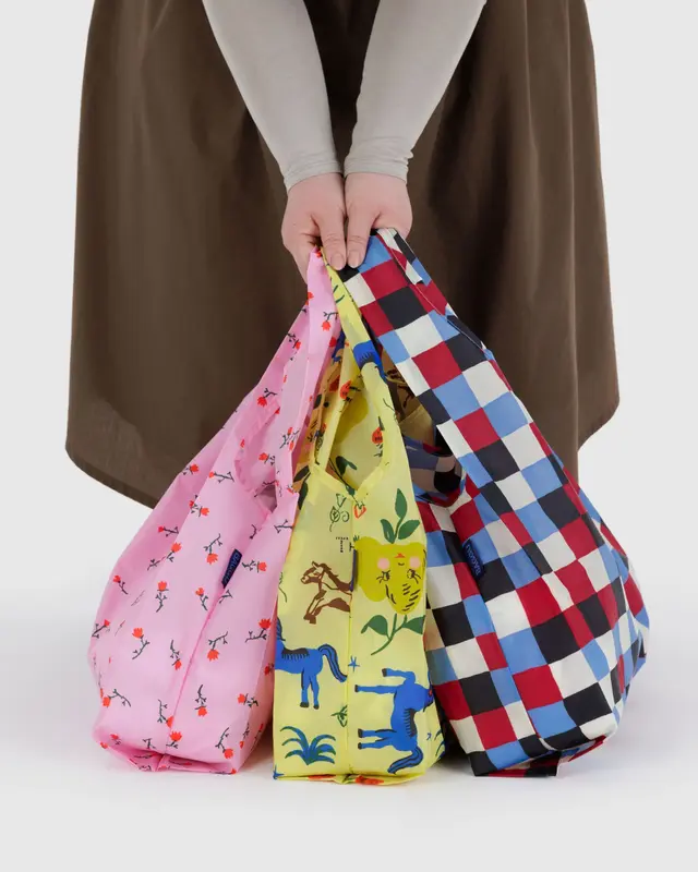 Standard Baggu Set in Painted Prairie - Image 2