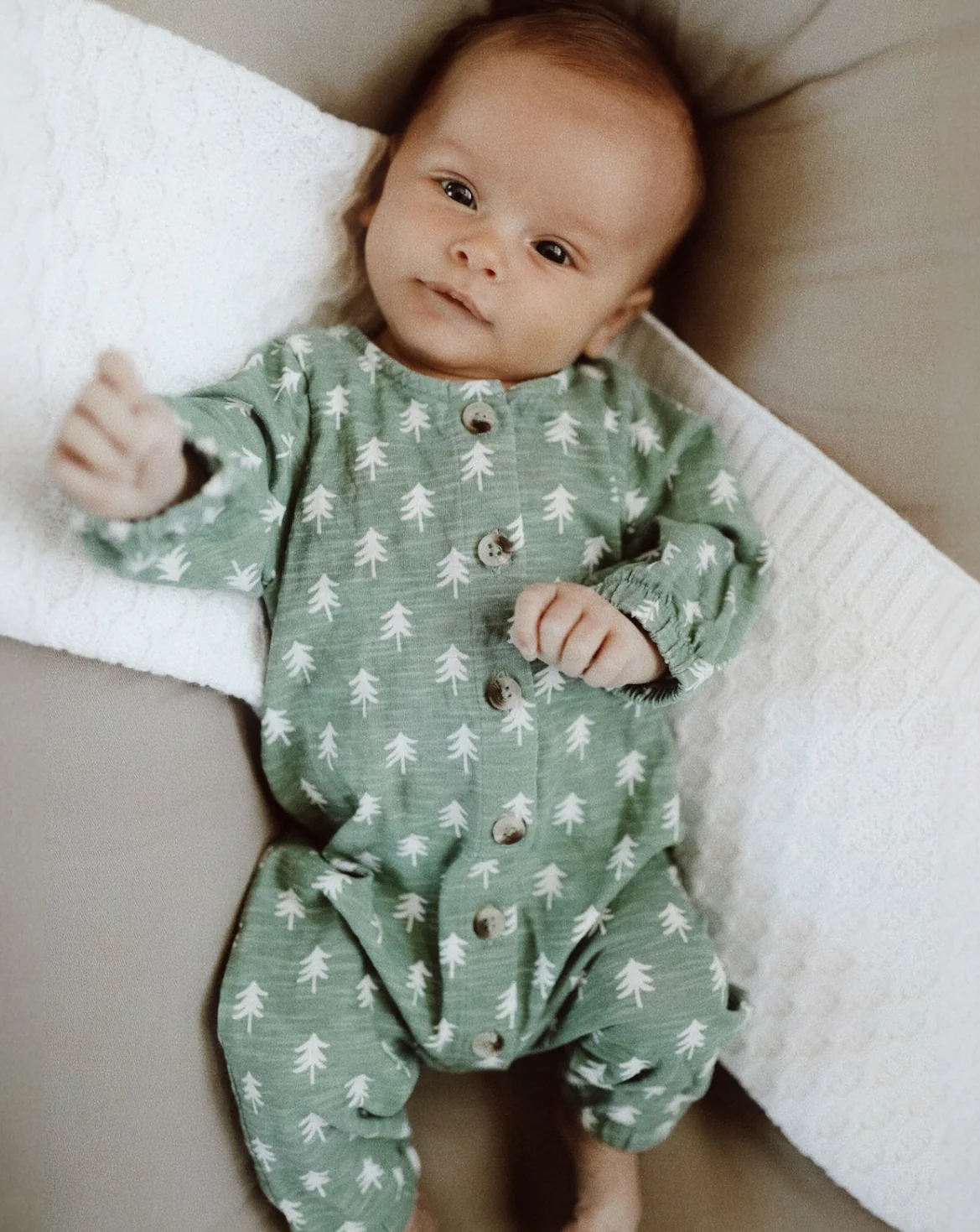 Long Sleeve Bay Jumpsuit in Tree - Image 3